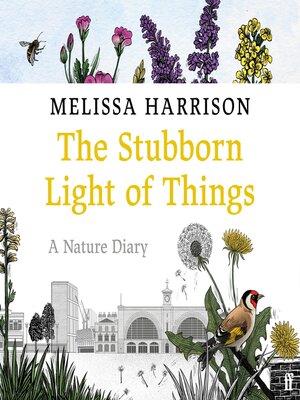 cover image of The Stubborn Light of Things